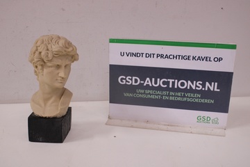 Afbeelding van Reproductie Buste van Michelangelo's David