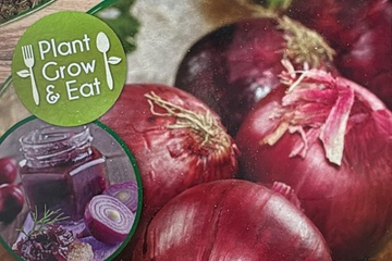 Afbeelding van Plantui Rood Piroska – 250 gram – Kweek je eigen rode uien