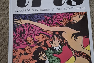 Afbeelding van Iris – L. Hartog van Banda / The Tjong Khing