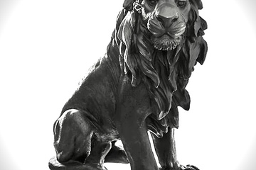 Afbeelding van Leeuw zwarte ornament H31cm (nieuwe)