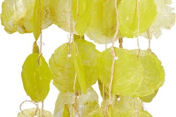 Afbeelding van windgong capiz schelpen - met dromenvanger