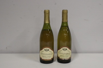 Afbeelding van 2 Flessen Coteaux Champenois - Dissaux-Savoye