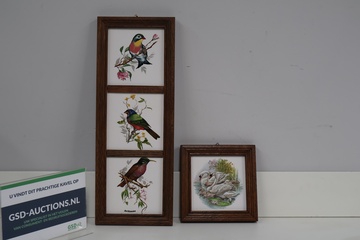 Afbeelding van Wandtegels met Afbeeldingen van Dieren