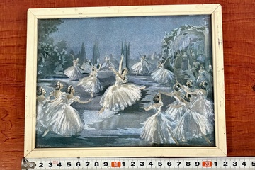 Afbeelding van Glimmende Ballerina's