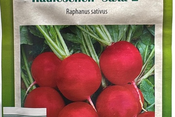 Afbeelding van 3 zakjes zaadjes voor radijs Saxa 2 tht 31-12-2025