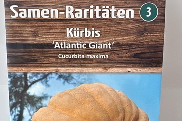 Afbeelding van 3 zakjes zaadjes voor pompoen kurbis tht 31-12-2025