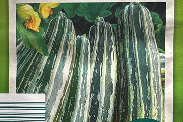 Afbeelding van 3 zakjes zaadjes voor Courgette tht 31-12-2025