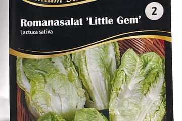 Afbeelding van 2 zakjes zaadjes voor little gem tht 31-12-2025
