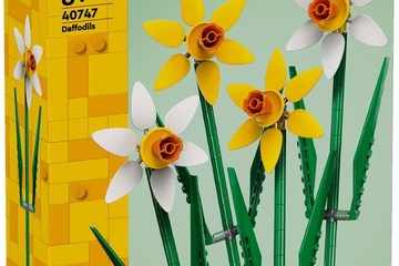 Afbeelding van LEGO Iconic Narcissen - Botanical Collection - 40747