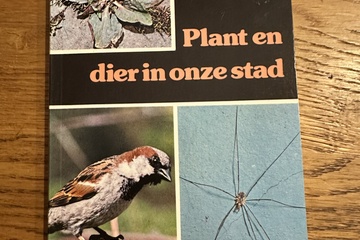 Afbeelding van Plant en dier in onze stad – J.A. de Vos & G.J. Blanken    P