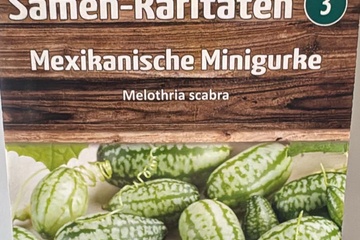 Afbeelding van 3 zakjes zaadjes voor mini komkommers mexikaans 31-12-2025