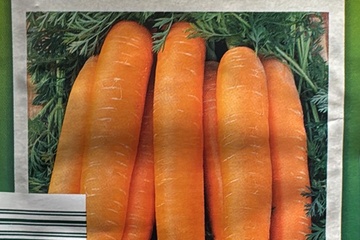 Afbeelding van 2 zakjes zaadjes voor wortelen Nantaise2  tht 31-12-2025