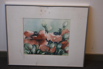 Afbeelding van Ingelijste aquarel van N. vd Meyden: Rode papavers, 1996'''