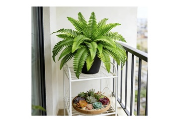 Afbeelding van Kunst varens - set van 2 stuks