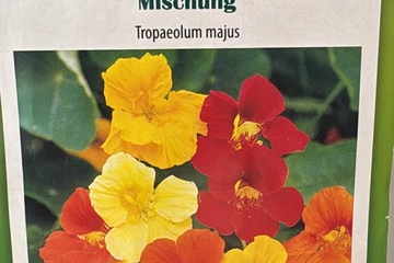 Afbeelding van 3 zakjes zaadjes voor Oost-Indische kers  mix tht 31-12-2025