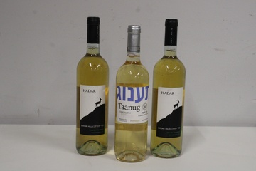 Afbeelding van Witte wijn uit Spanje & Israel