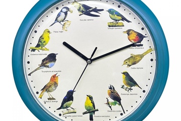 Afbeelding van Japanse Zangvogel Klok - blauw-elk uur het geluid vogelsoort