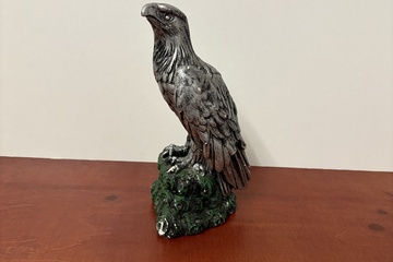 Afbeelding van Amerikaanse zeearend