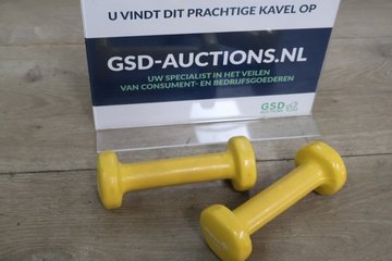 Afbeelding van Set van Twee Gewichten - 0.5 kg