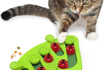 Afbeelding van Nina ottosson puzzle & play buggin out groen 35x26x4 cm