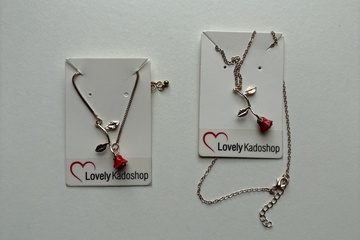 Afbeelding van Roos ketting en armband goudkleurig