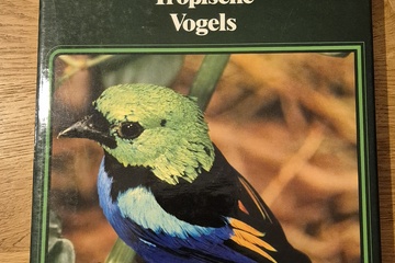 Afbeelding van Tropische Vogels – De wonderlijke natuur