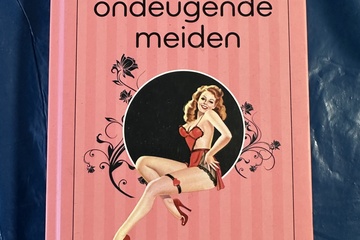 Afbeelding van Handboek voor ondeugende meiden – speels, stijlvol & verleid