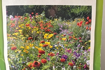 Afbeelding van 3 zakjes zaad mat 180X13,3 balkon mix tht 31-12-25