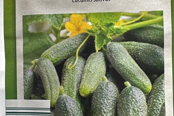 Afbeelding van 2 zakjes zaadjes voor inleg augurken tht 31-12-2025