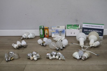 Afbeelding van Mix van diverse losse lampen 30 stuks'