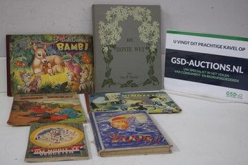 Afbeelding van Mix van 6 Vintage Kinderboeken'