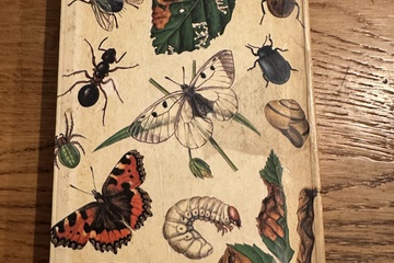 Afbeelding van Ongewervelde Dieren in Bos en Veld – G. Mandahl-Barth    Pro