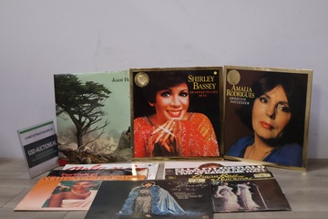 Afbeelding van Diverse collectie pop, fado & R&B vinylalbums