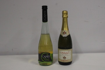Afbeelding van Canei & Melody Moscato Perlino