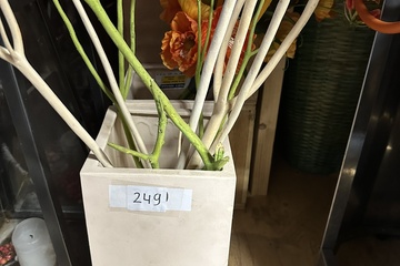 Afbeelding van 249. Plantenbakken