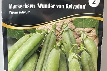 Afbeelding van 2 zakjes zaadjes voor soperwten von kelvedon tht 31-12-2025