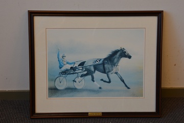 Afbeelding van Ingelijste litho van Anja Meeldijk: 'Action Skoatter'