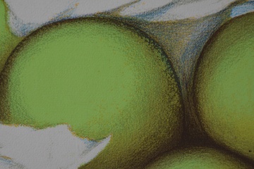 Afbeelding van Ingelijste litho van groene appels. Niet gesigneerd.