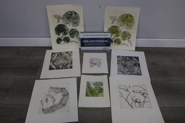 Afbeelding van Mix van 8 Insecten-Etsen'