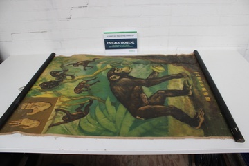 Afbeelding van Vintage Kaart - Aap