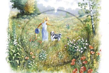 Afbeelding van Peter Motz - Joyfull - Afm: 50x60 cm