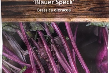 Afbeelding van 2 zakjes zaadjes voor Koolrabi blauer speck tht 31-12-2025