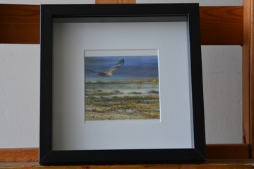 Afbeelding van Ingelijste vierkante poster: Roofvogel