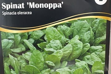 Afbeelding van 3 zakjes zaadjes voor spinazie Monoppa tht 31-12-2025