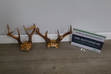 Afbeelding van Set van 2 Beschilderde Hertgeweien