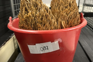 Afbeelding van 082. Emmer met decoratiemateriaal