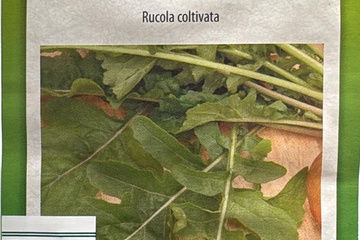 Afbeelding van 3 zakjes zaadjes voor rucola tht 31-12-2025