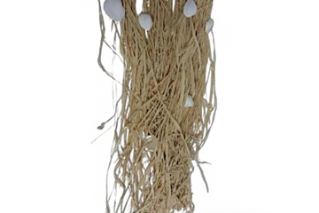 Afbeelding van 3xDesign hanger Raffia 20x60cm muurdecoratie