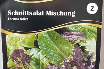 Afbeelding van 3 zakjes zaadjes voor snij sla mix  tht 31-12-2025