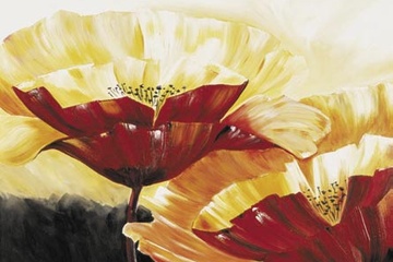 Afbeelding van Beatrix Frederiks, The three Poppies, Afm: 60x80 cm